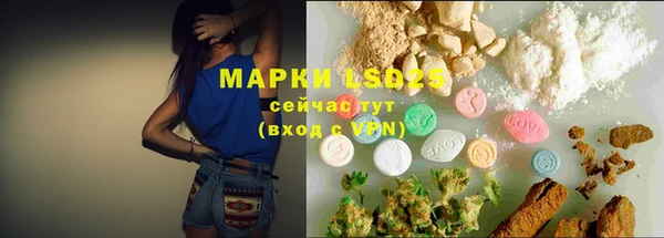 ГАЛЛЮЦИНОГЕННЫЕ ГРИБЫ Абаза