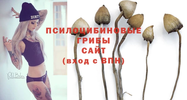 эйфоретик Абинск