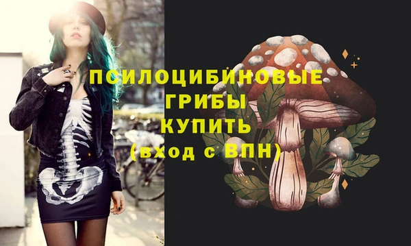 эйфоретик Абинск