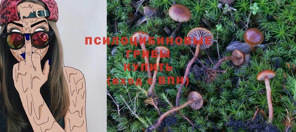 ГАЛЛЮЦИНОГЕННЫЕ ГРИБЫ Абаза