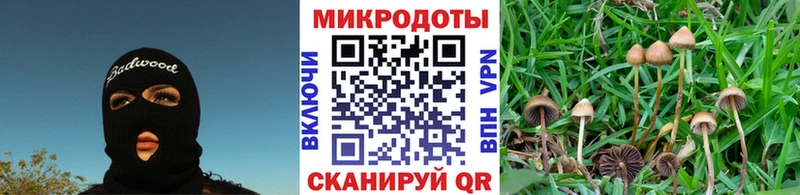 hydra ССЫЛКА  Котовск  Псилоцибиновые грибы Psilocybe 